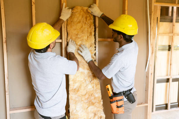 Best Commercial Insulation Services  in Washington, IL